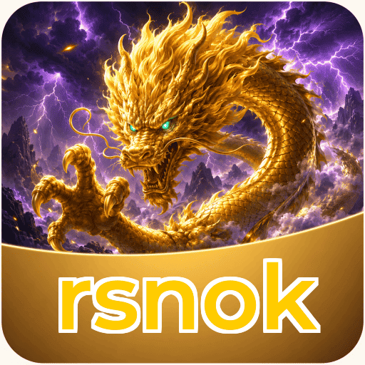 Version History rsnok